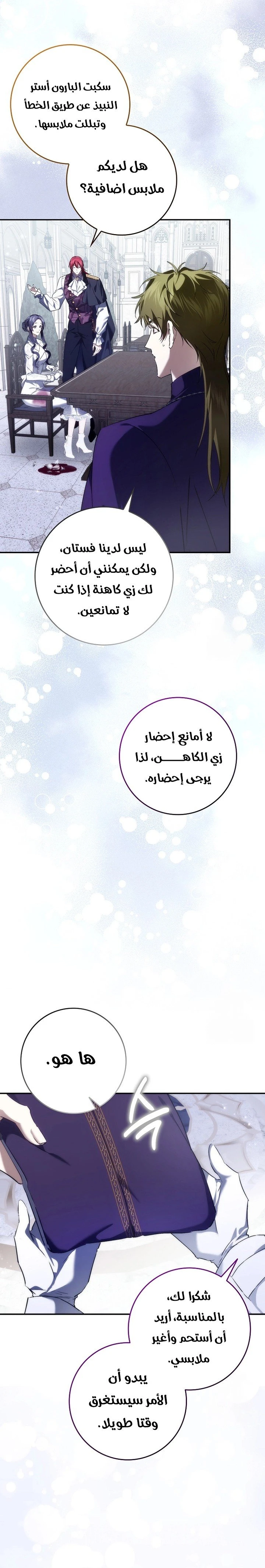 الصفحة 19