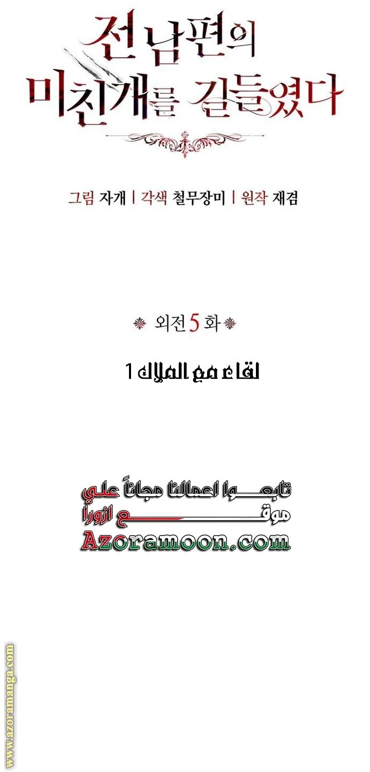 الصفحة 17