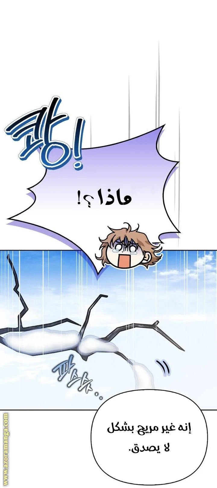 الصفحة 27