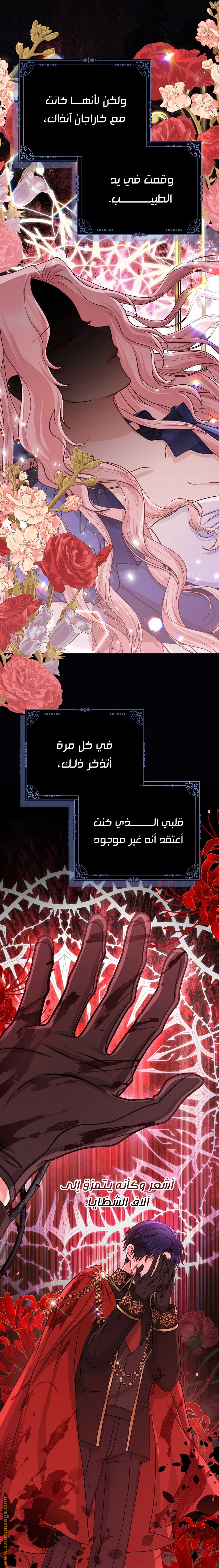 الصفحة 19
