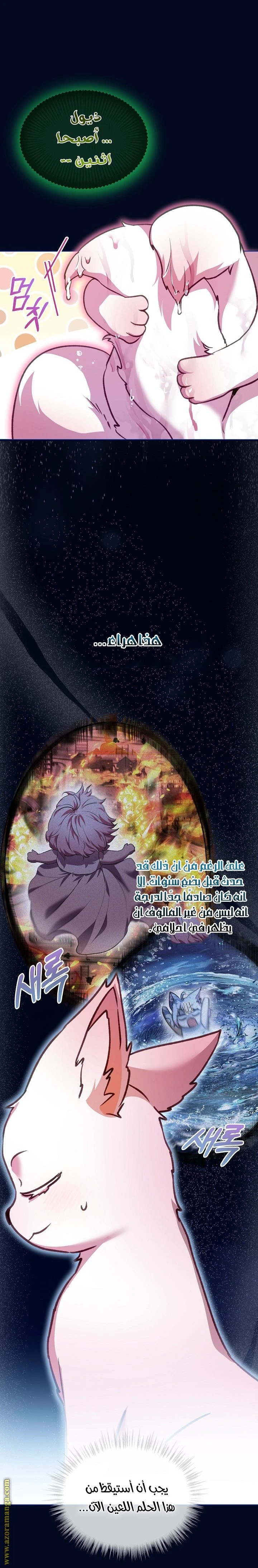 الصفحة 18