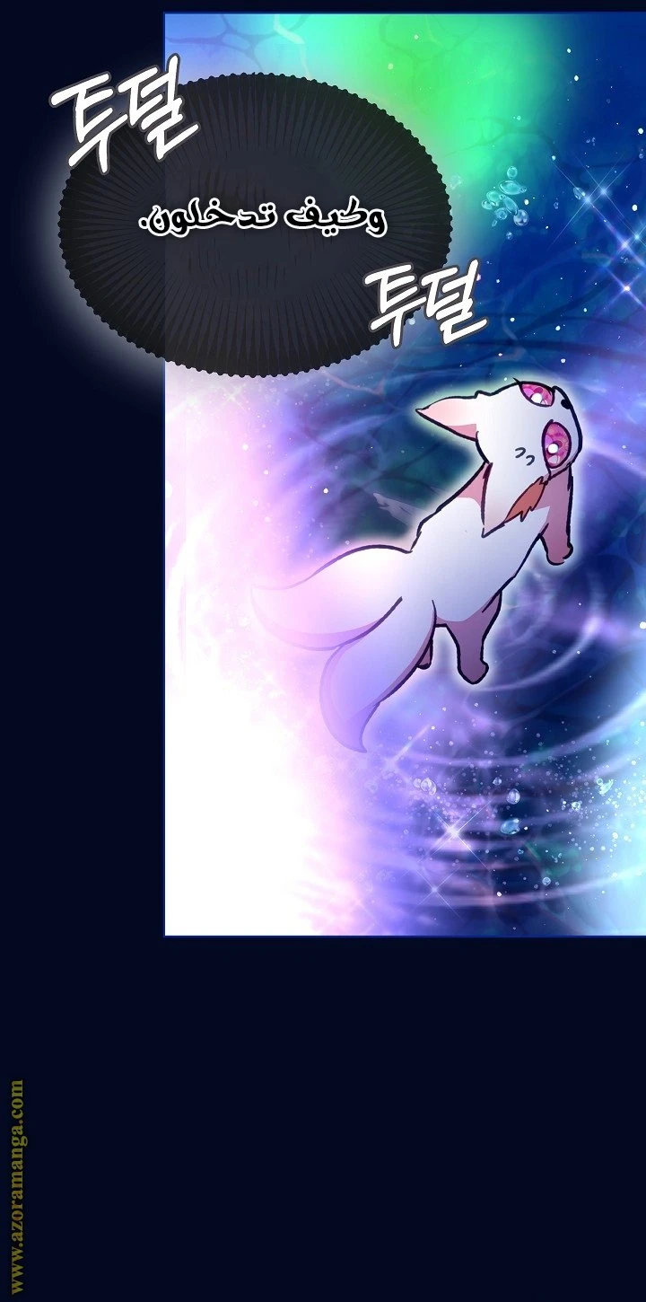 الصفحة 21