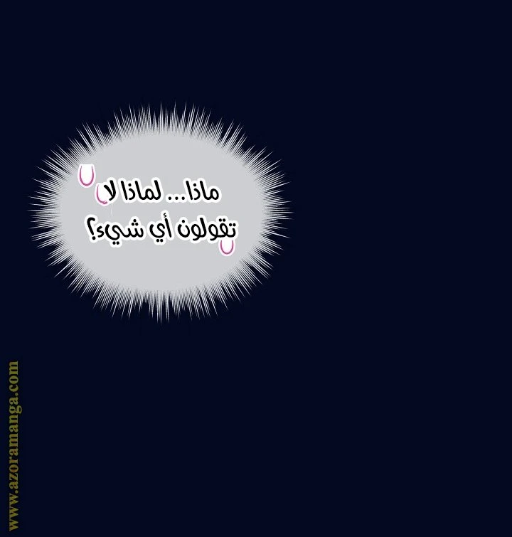 الصفحة 24
