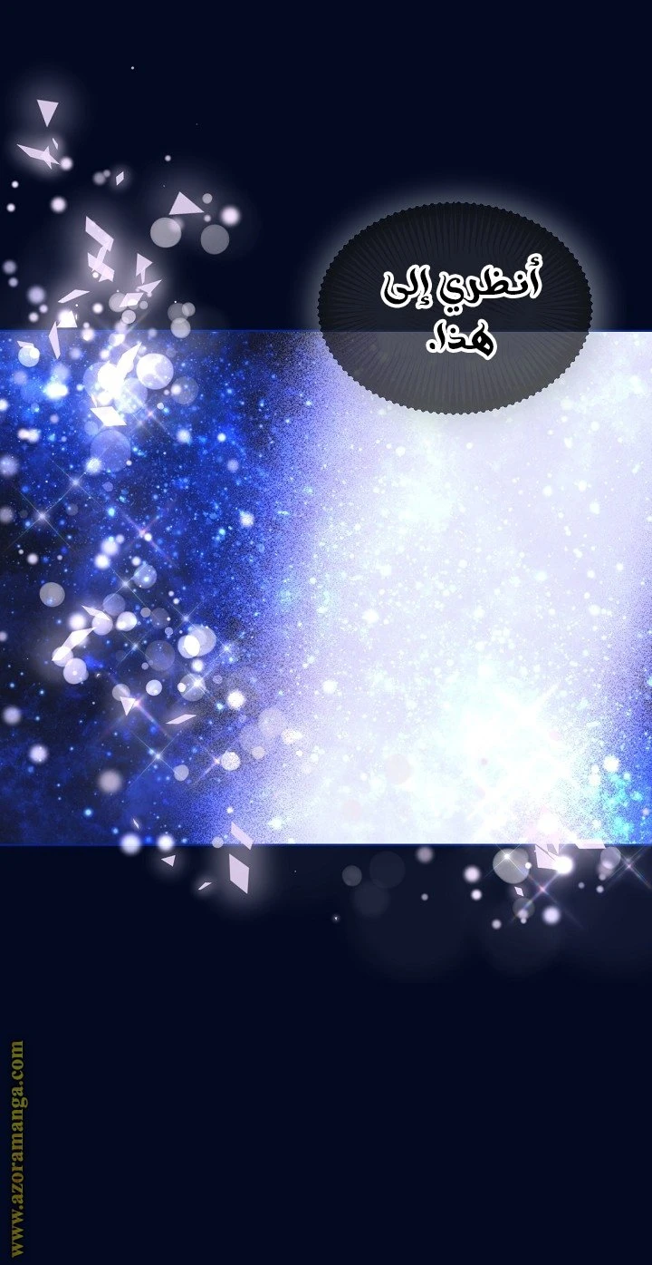 الصفحة 26