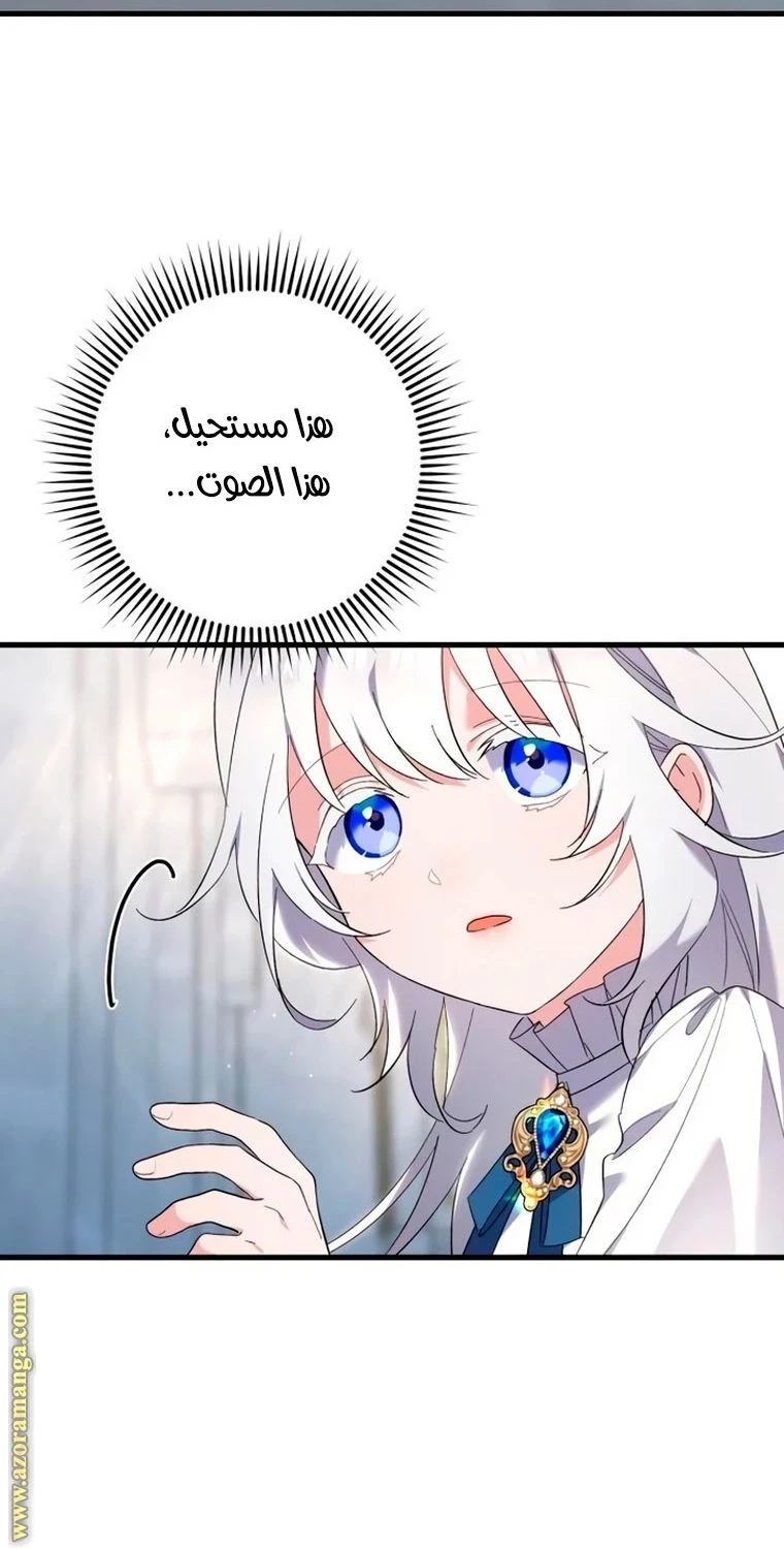 الصفحة 25