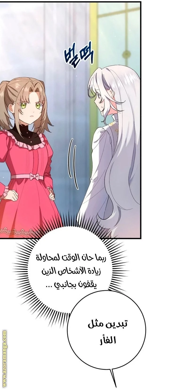 الصفحة 29