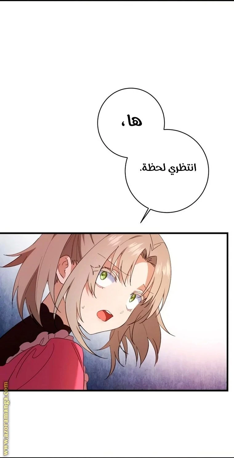 الصفحة 62