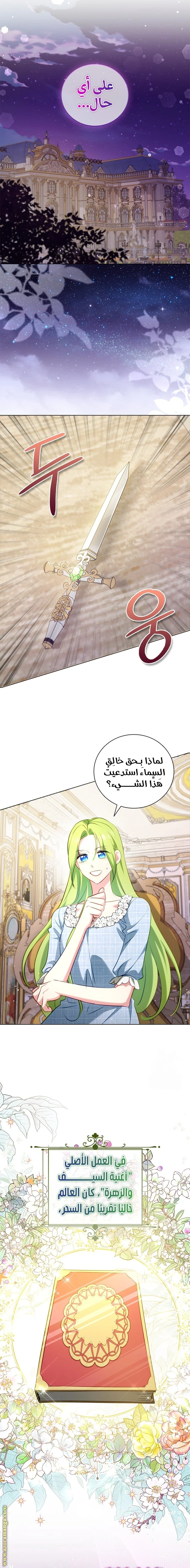 الصفحة 13