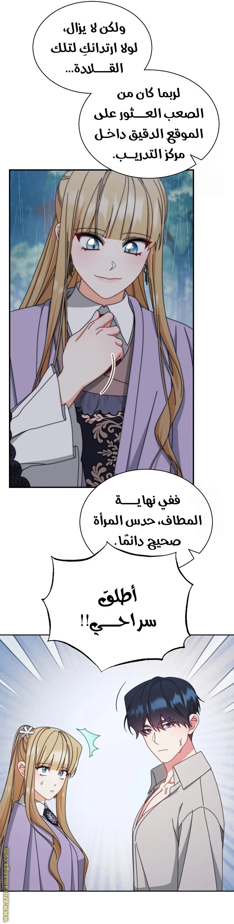 الصفحة 17