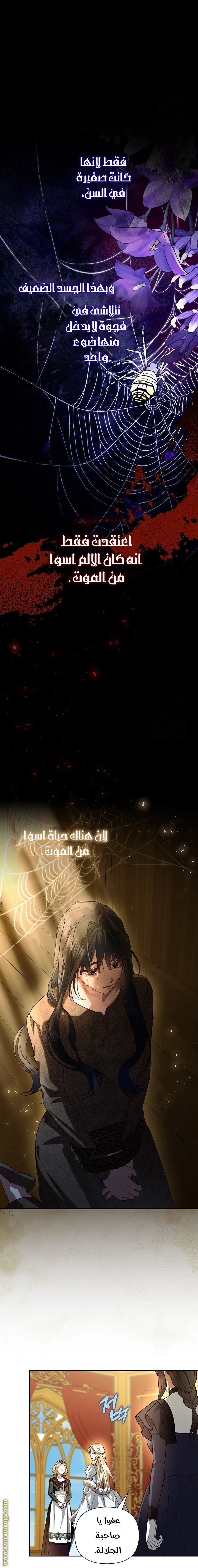 الصفحة 13