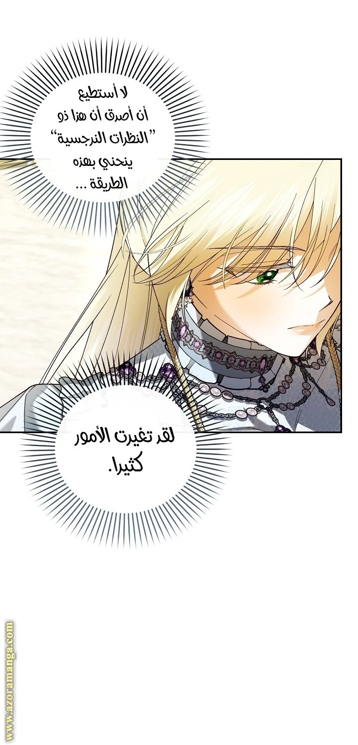 الصفحة 24