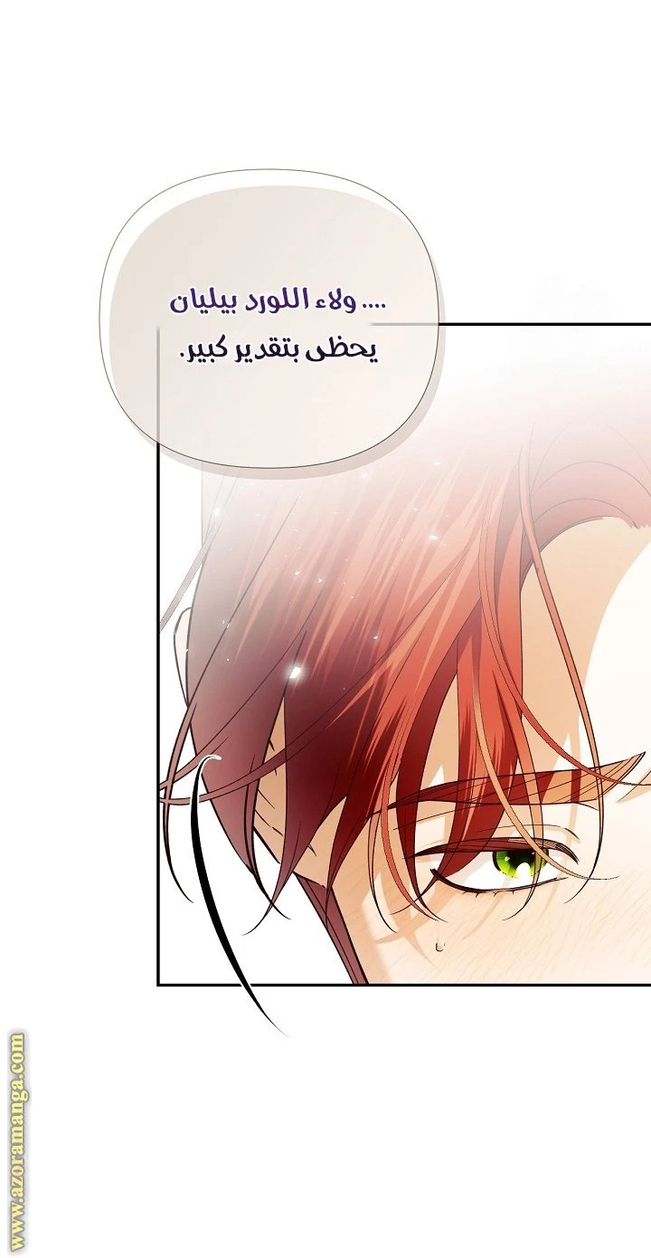 الصفحة 25