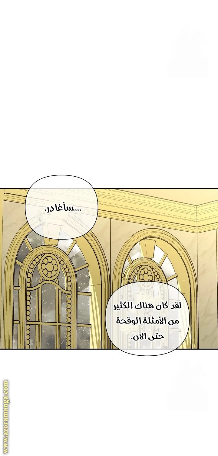 الصفحة 29