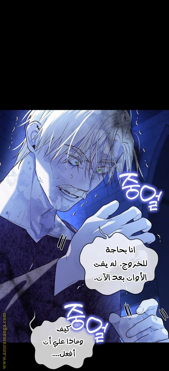 الصفحة 39