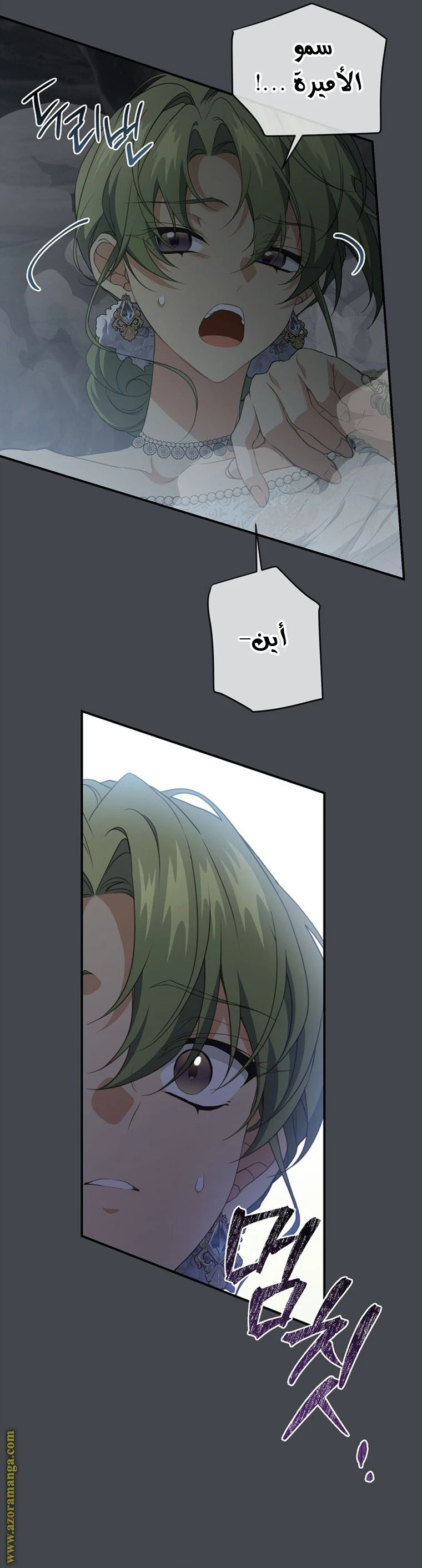 الصفحة 27
