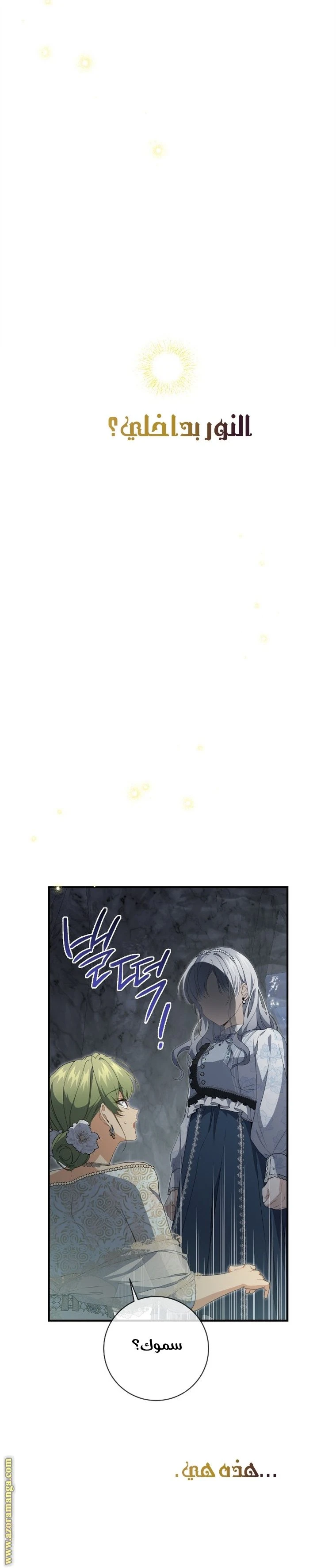 الصفحة 42
