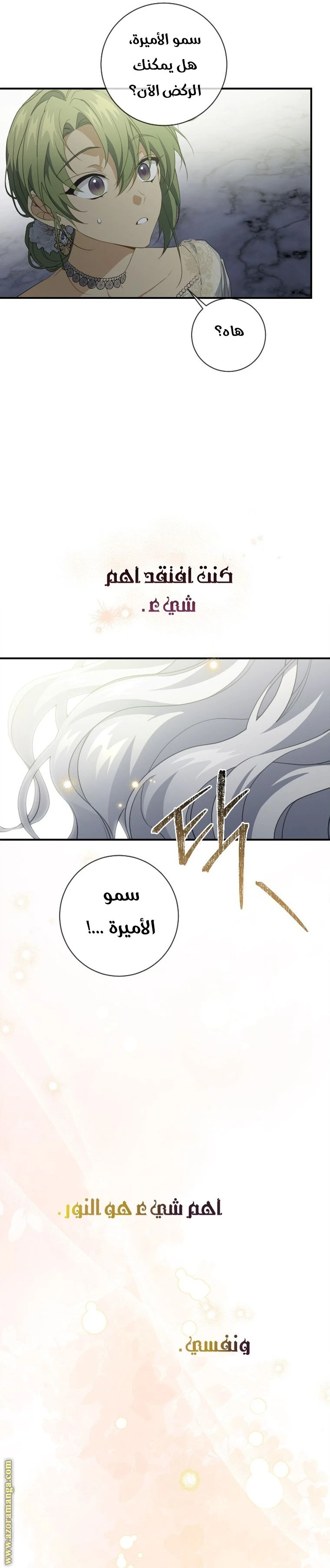 الصفحة 43