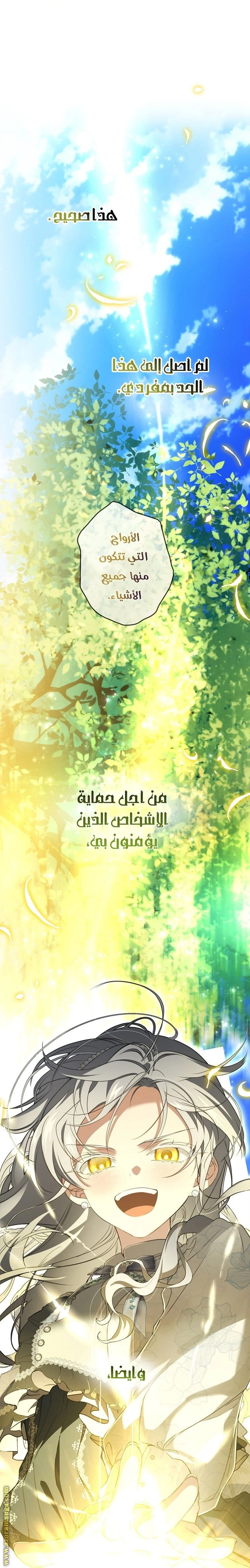 الصفحة 47