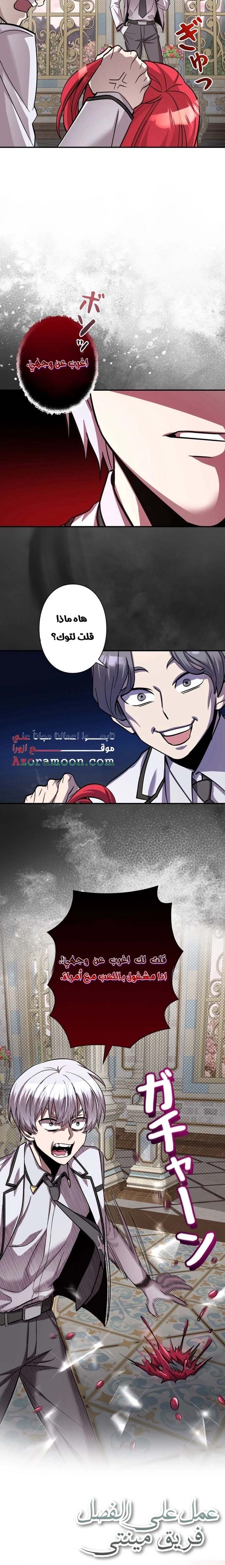 الصفحة 13