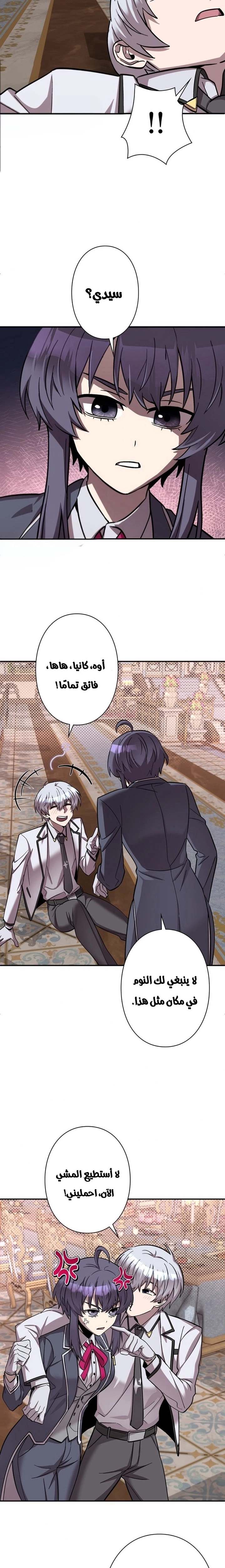 الصفحة 19