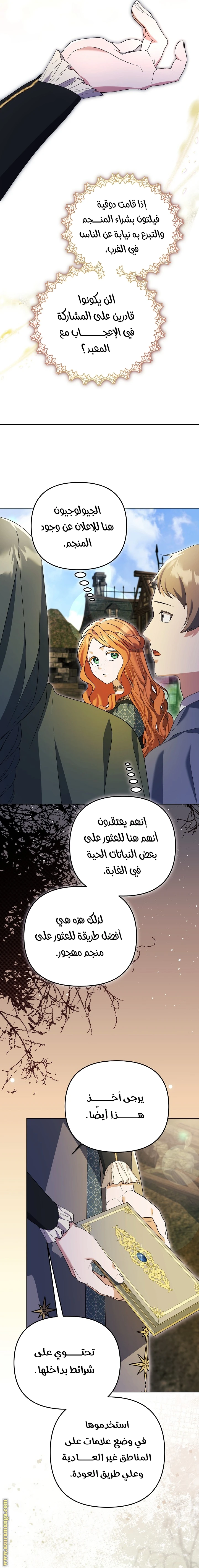 الصفحة 17