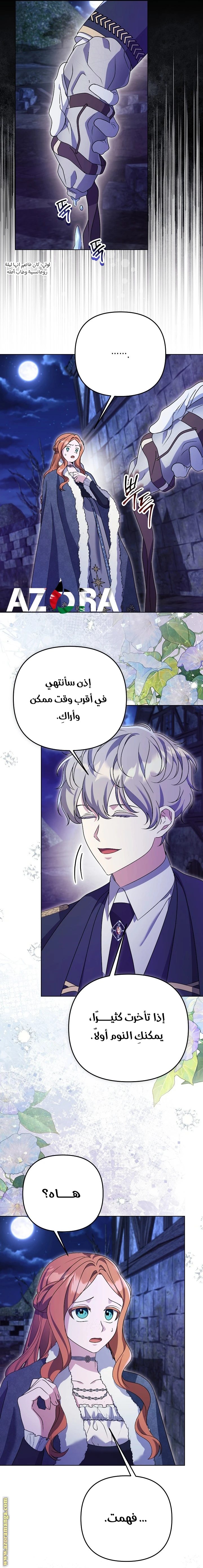 الصفحة 21