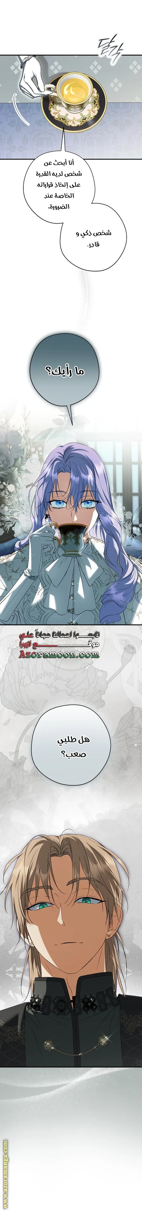 الصفحة 17