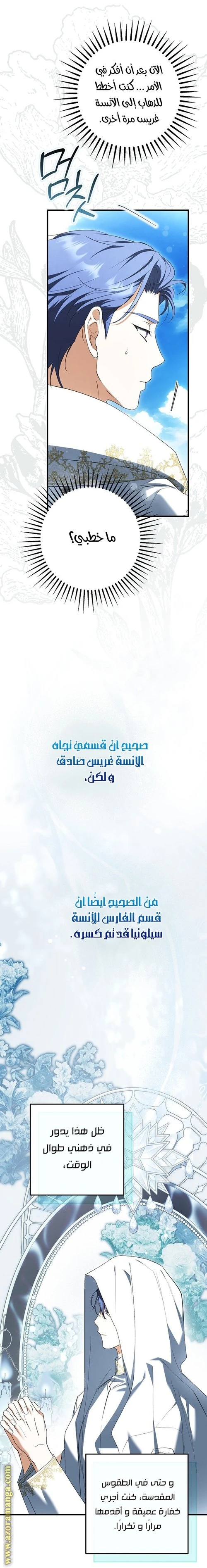 الصفحة 27