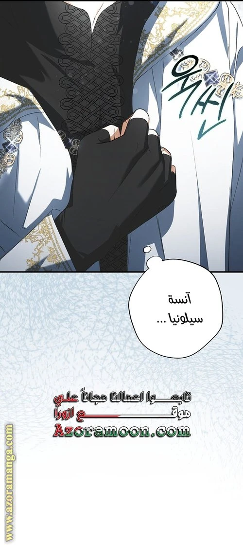 الصفحة 29