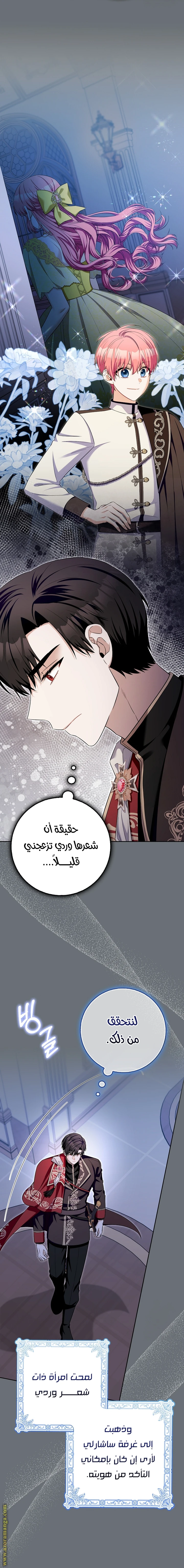 الصفحة 13
