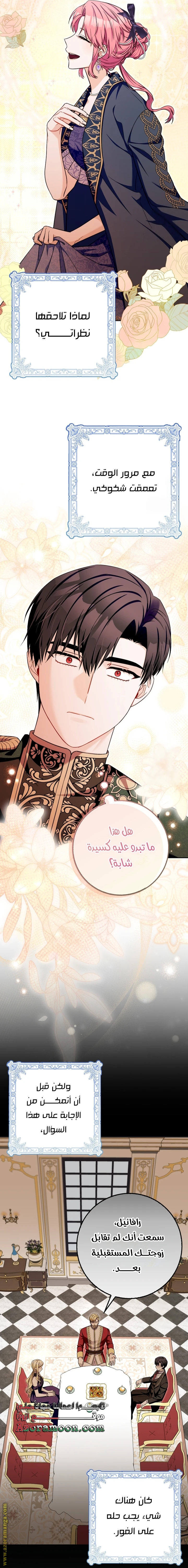 الصفحة 17