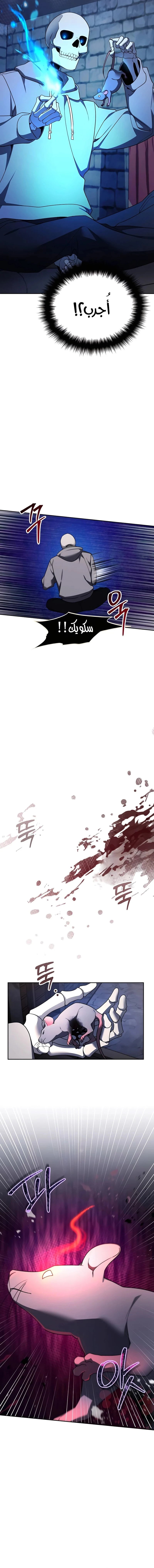 الصفحة 11