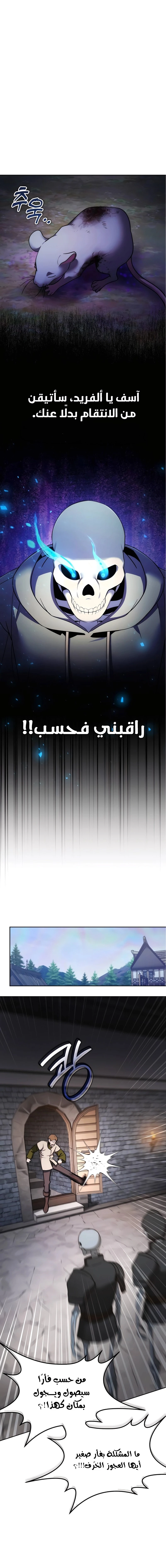 الصفحة 17