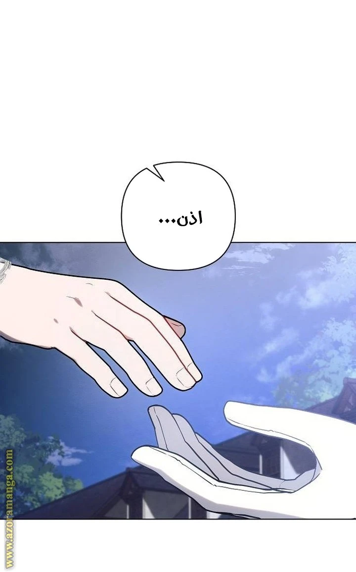 الصفحة 49