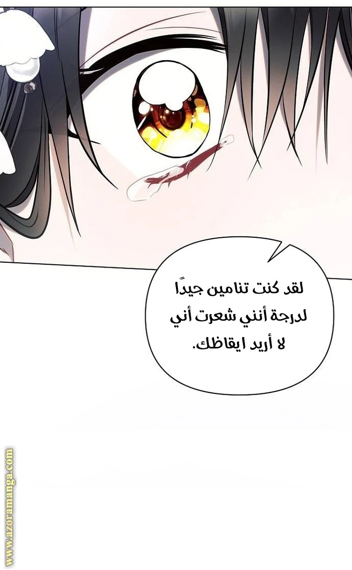 الصفحة 65