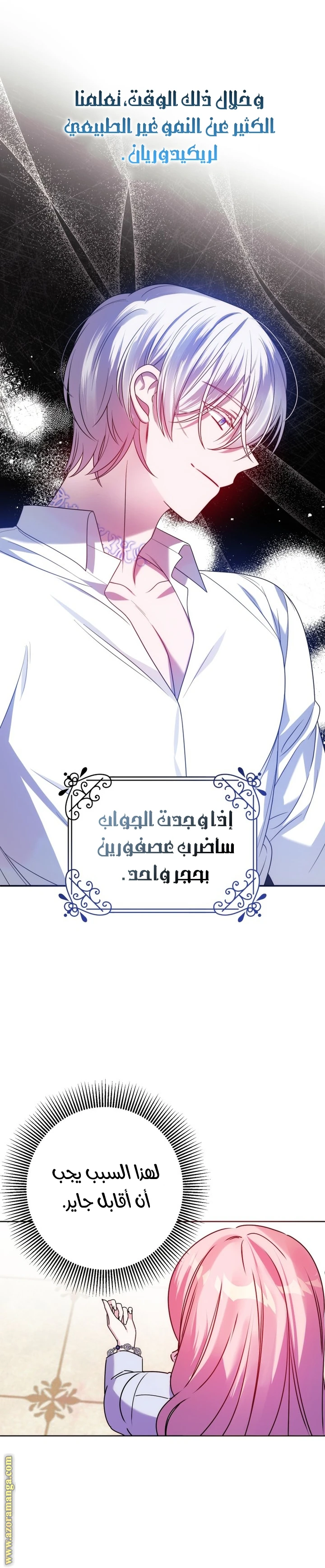 الصفحة 11