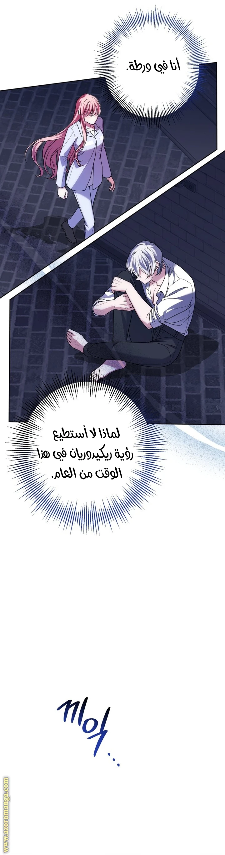 الصفحة 17
