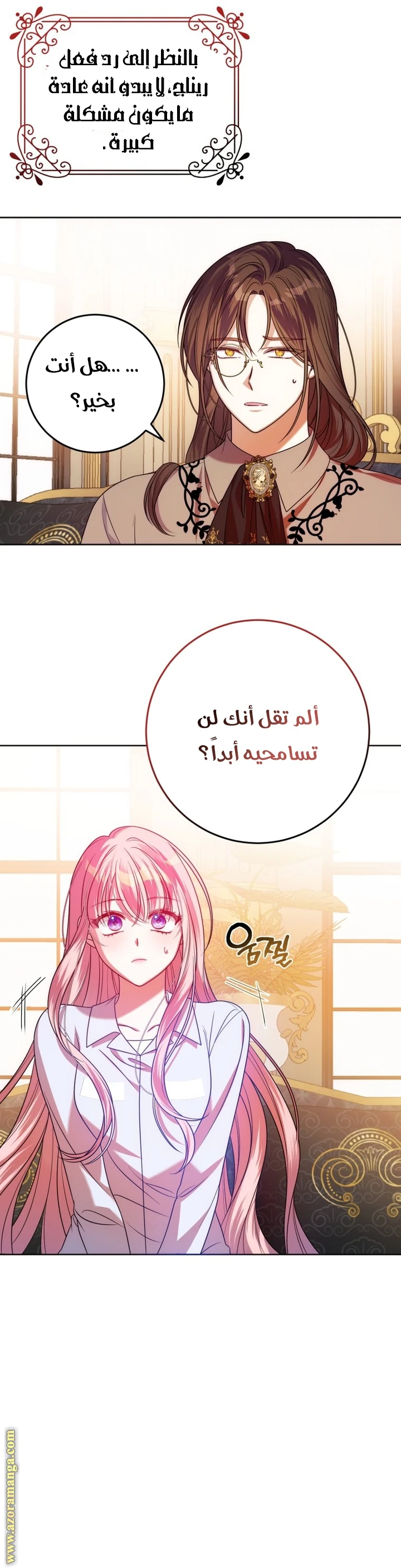 الصفحة 25