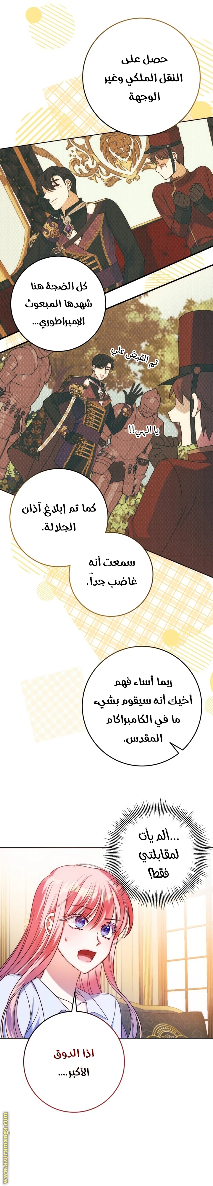 الصفحة 31