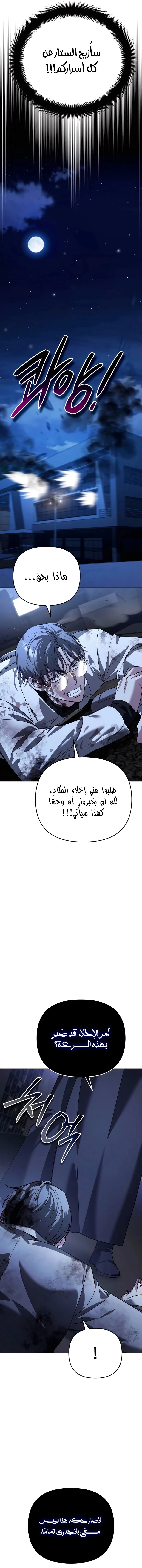 الصفحة 17