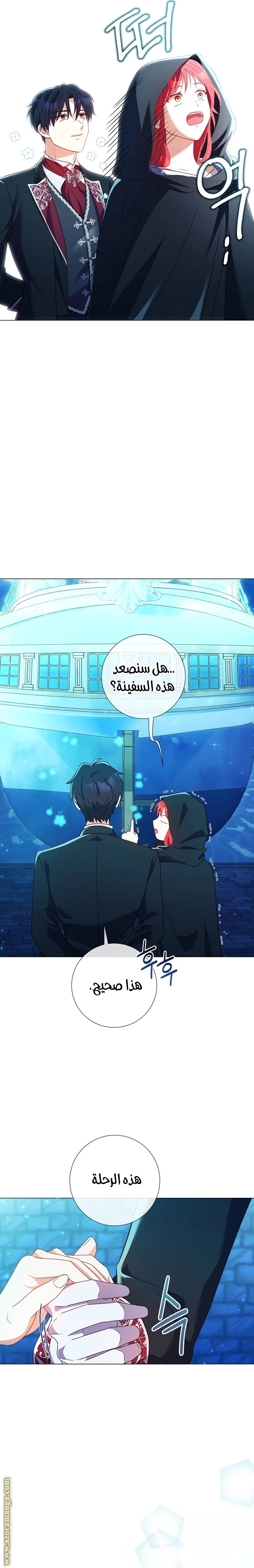 الصفحة 17