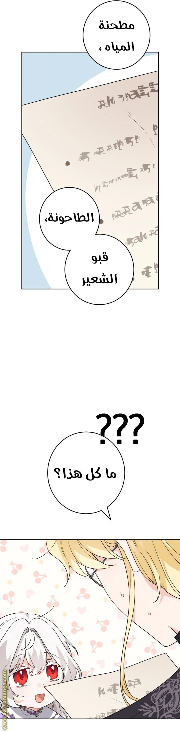 الصفحة 29