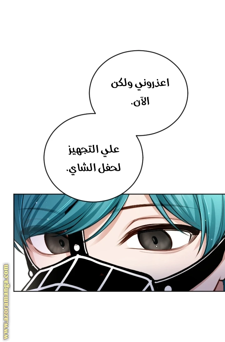 الصفحة 27