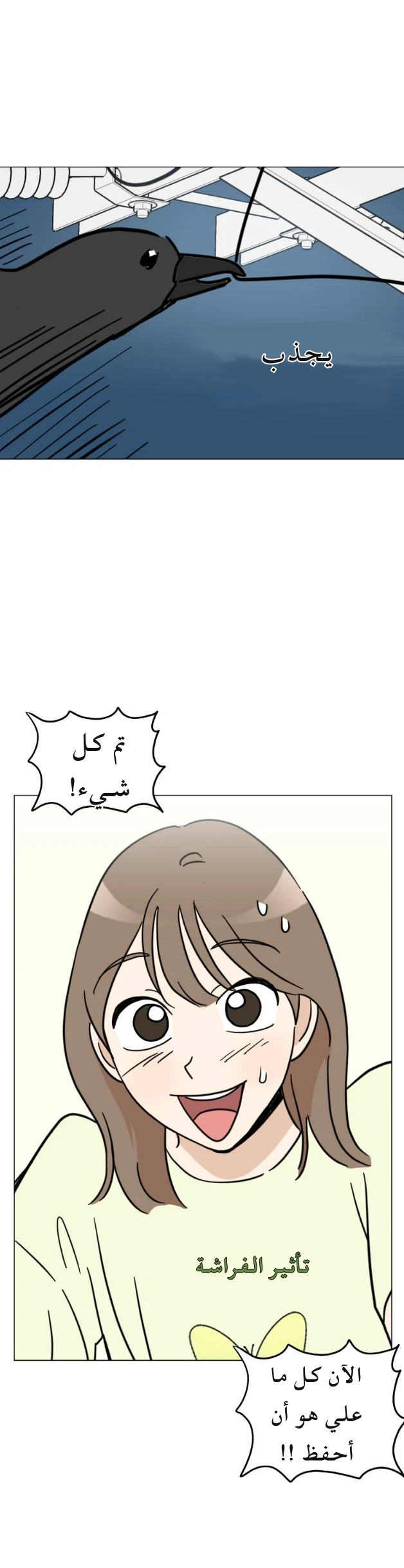 الصفحة 38