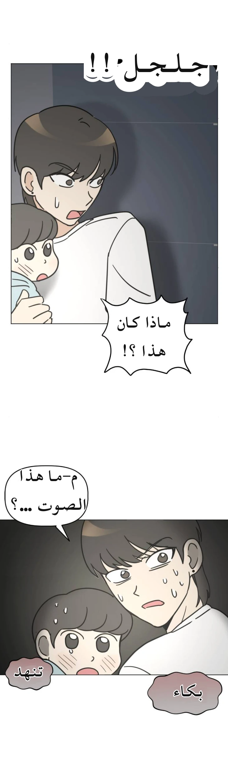 الصفحة 43