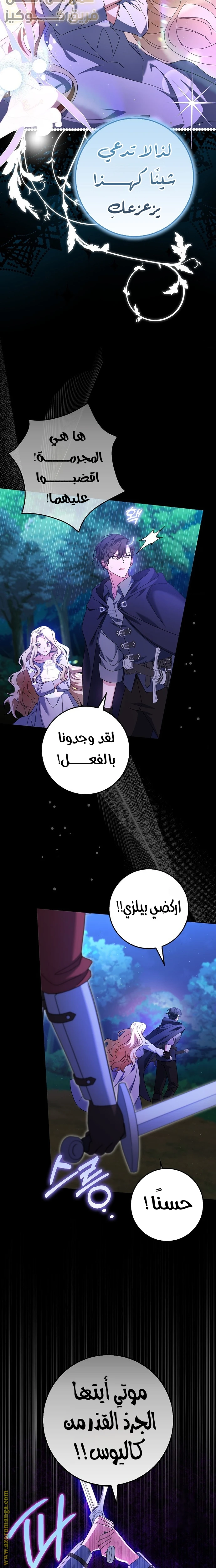 الصفحة 14