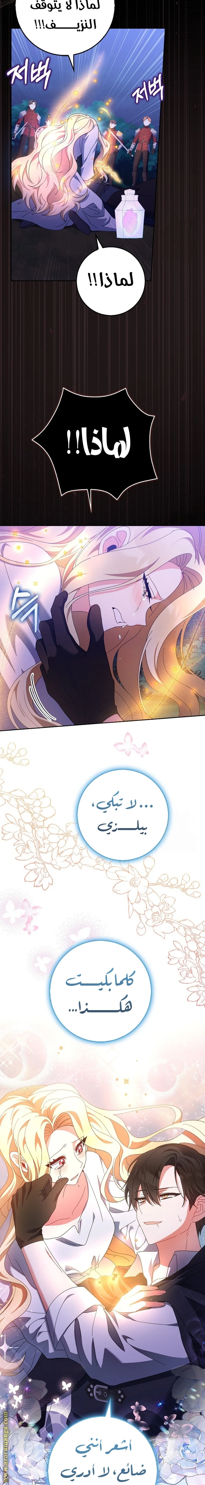 الصفحة 17