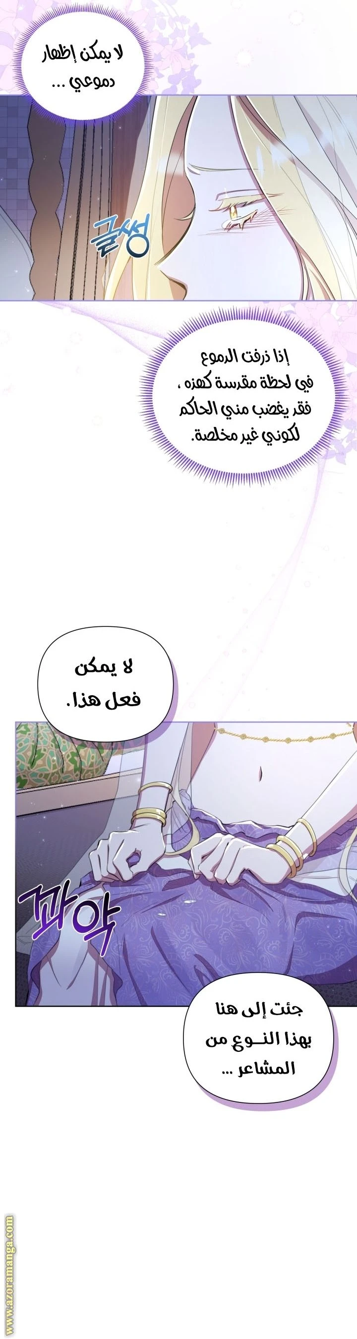 الصفحة 17