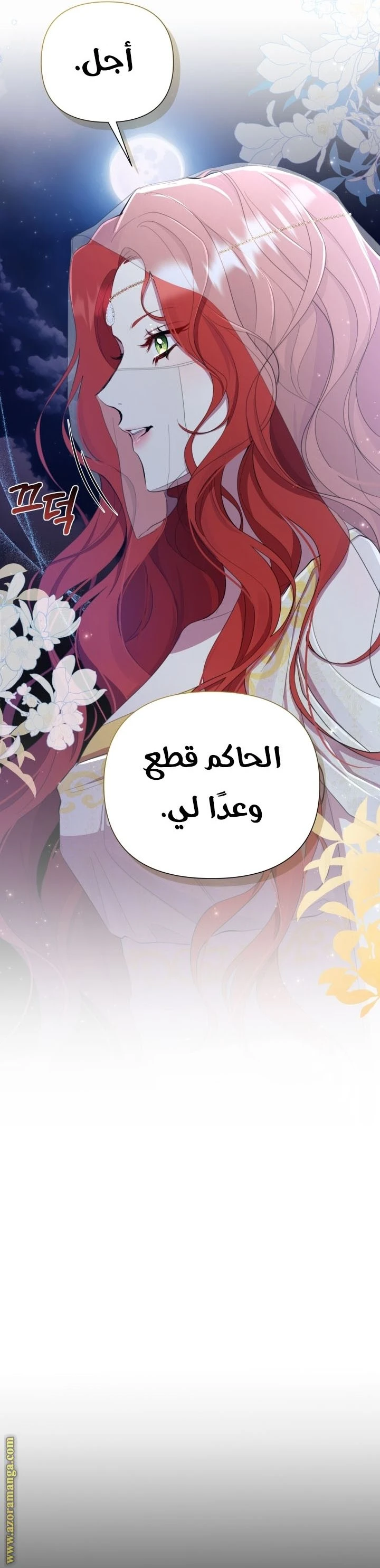 الصفحة 26