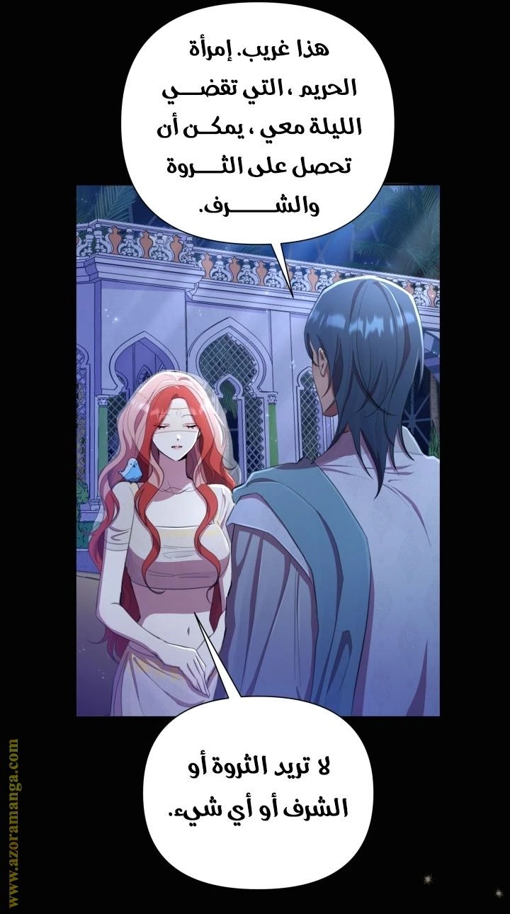 الصفحة 28
